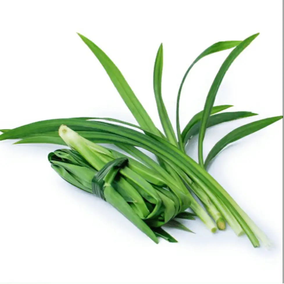 l&aacute; dứa