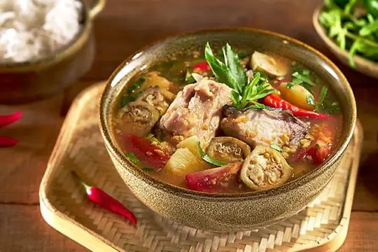 canh dau ca bop 500