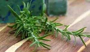 Hương thảo