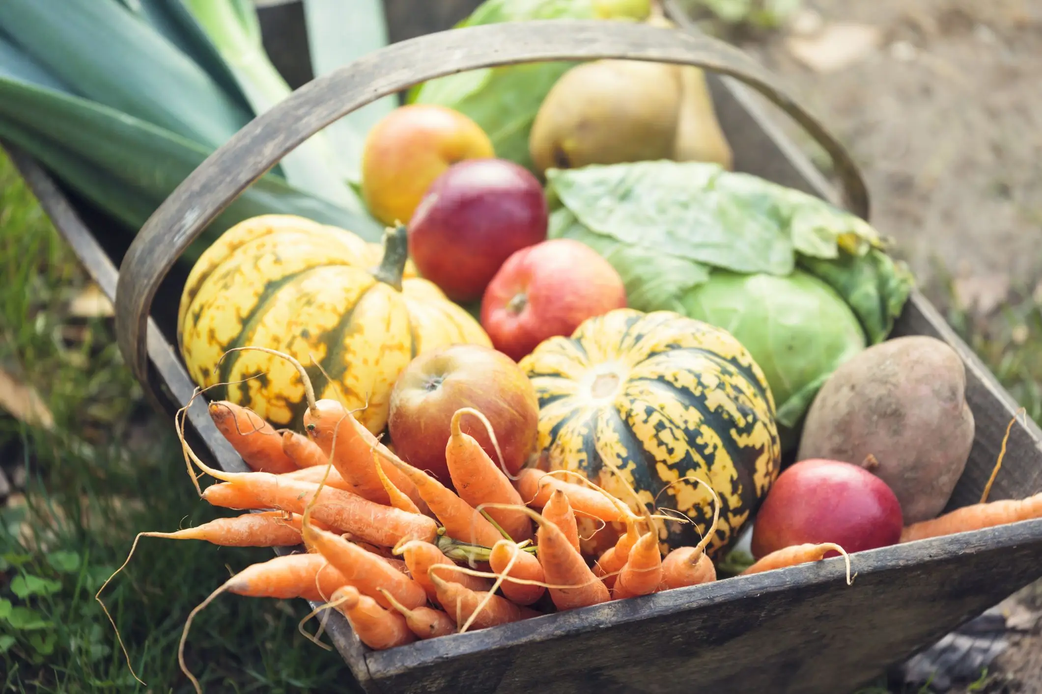 fall fruits 1629829628