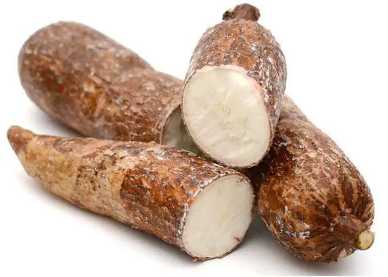 khoai m&igrave;
