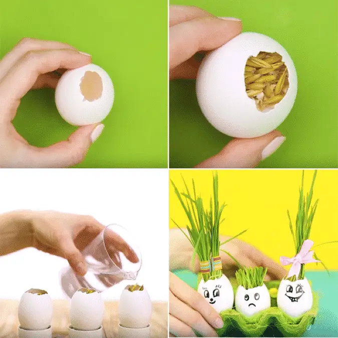 Th&iacute;ch th&uacute; với vườn gia vị ngay trong gian bếp của Mẹ