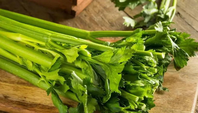 Cần tây có mấy loại? Mẹo chọn mua và bảo quản lâu