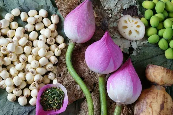Cây sen không chỉ đẹp mà còn làm nhiều món ngon dễ làm