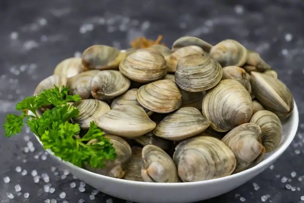 Nghêu mang lại lợi ích dinh dưỡng gì? Lưu ý khi ăn nghêu
