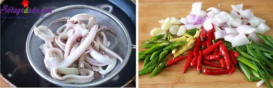 c&aacute;ch chế biến mực x&agrave;o chua cay 3