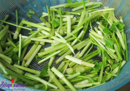 b&uacute;n bề bề 7