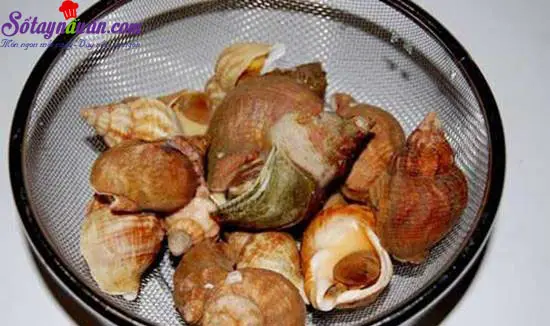 Hướng dẫn l&agrave;m m&oacute;n ngh&ecirc;u nướng ốc luộc thơm ngon hấp dẫn 4