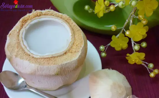 c&aacute;ch l&agrave;m thạch dừa xi&ecirc;m 8