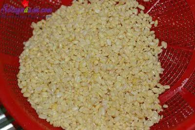 c&aacute;ch nấu ch&egrave; bưởi 1