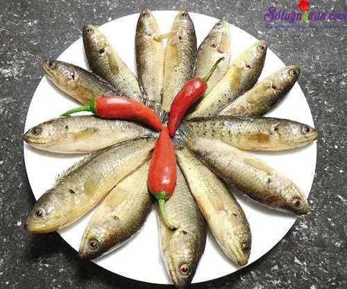 B&iacute; quyết l&agrave;m b&uacute;n c&aacute; r&ocirc; đồng thơm ngon đ&uacute;ng vị 1