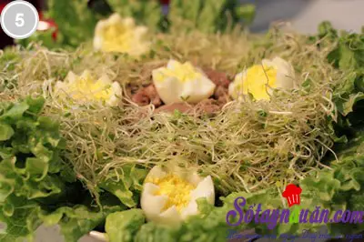 Salad rau mầm tươi 5